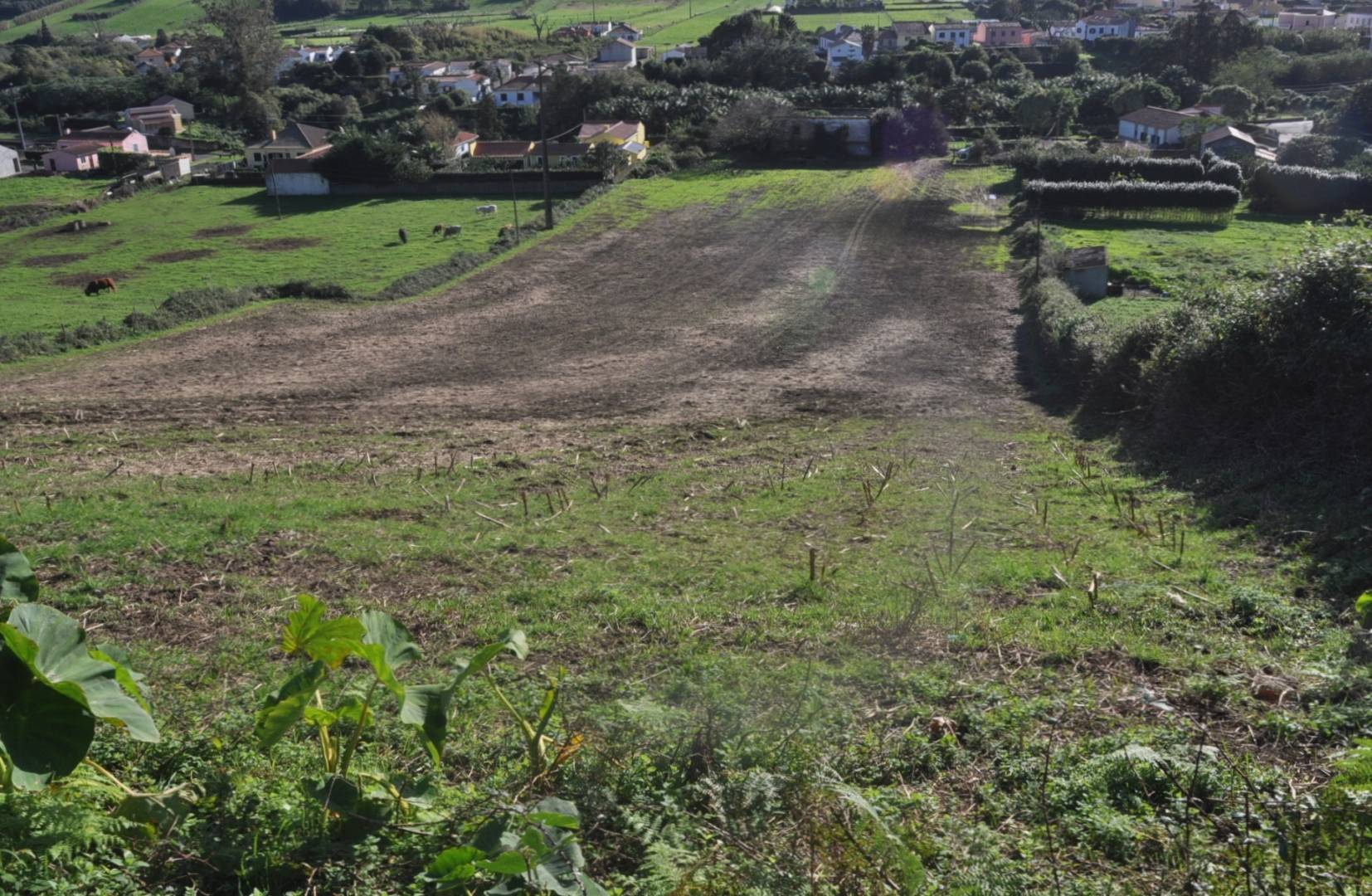 huge property view Faial