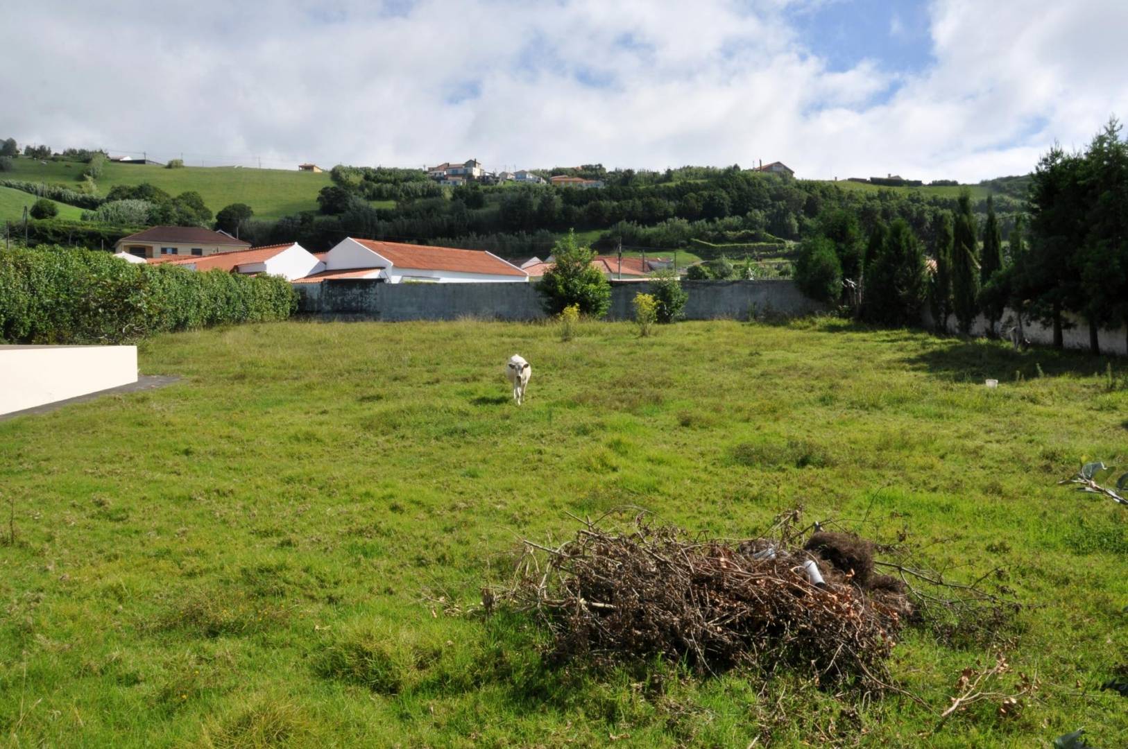 Luxury_Villa_sale_Faial