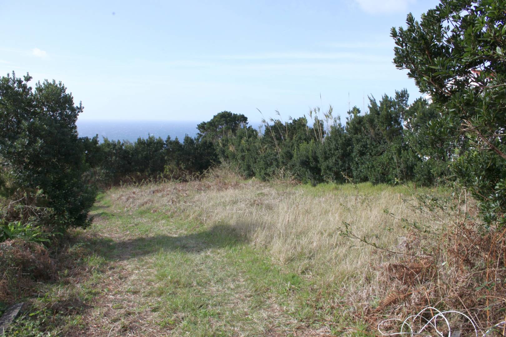 Large plot view Faial