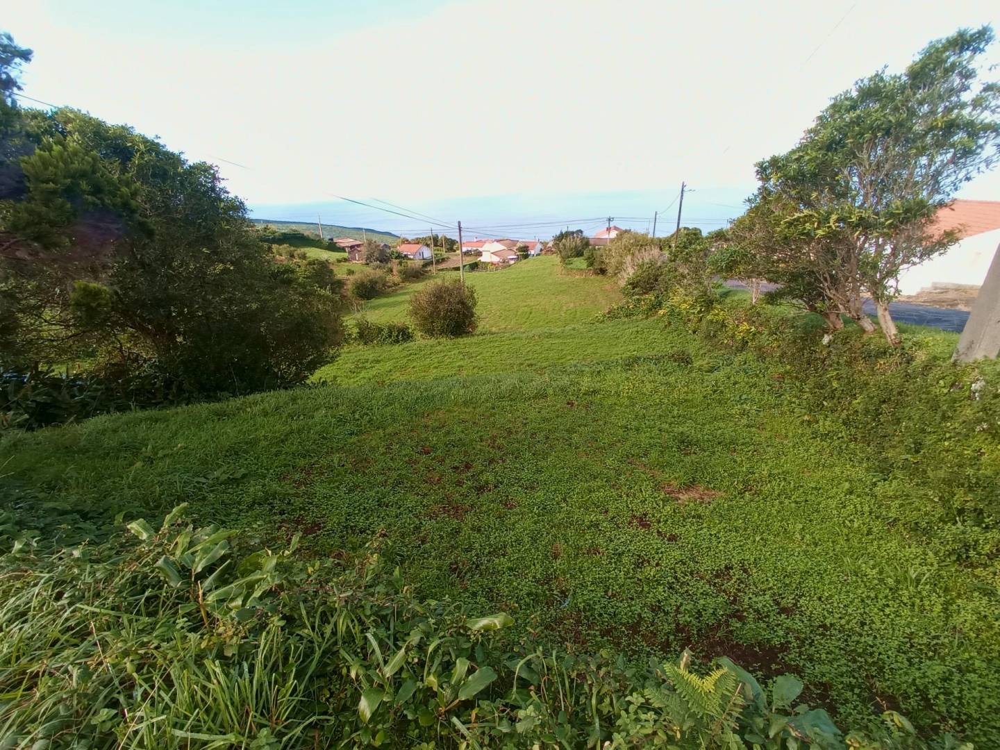 buildable plot view faial