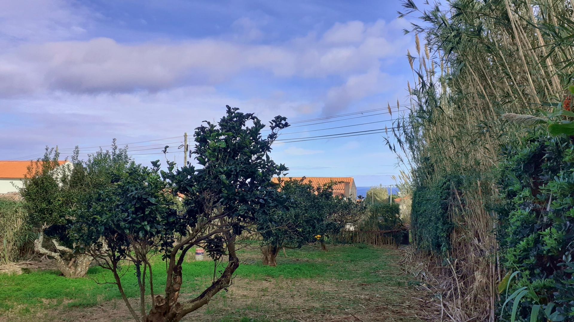 property garden views faial