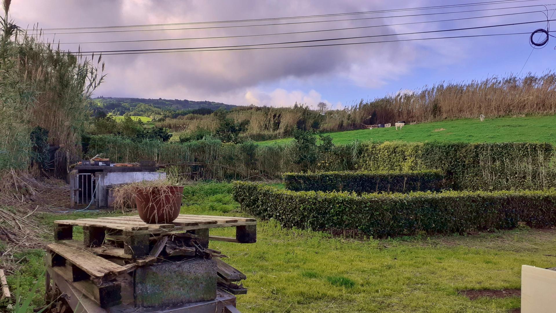 property garden views faial