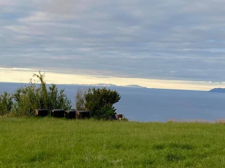 plot views privacy faial