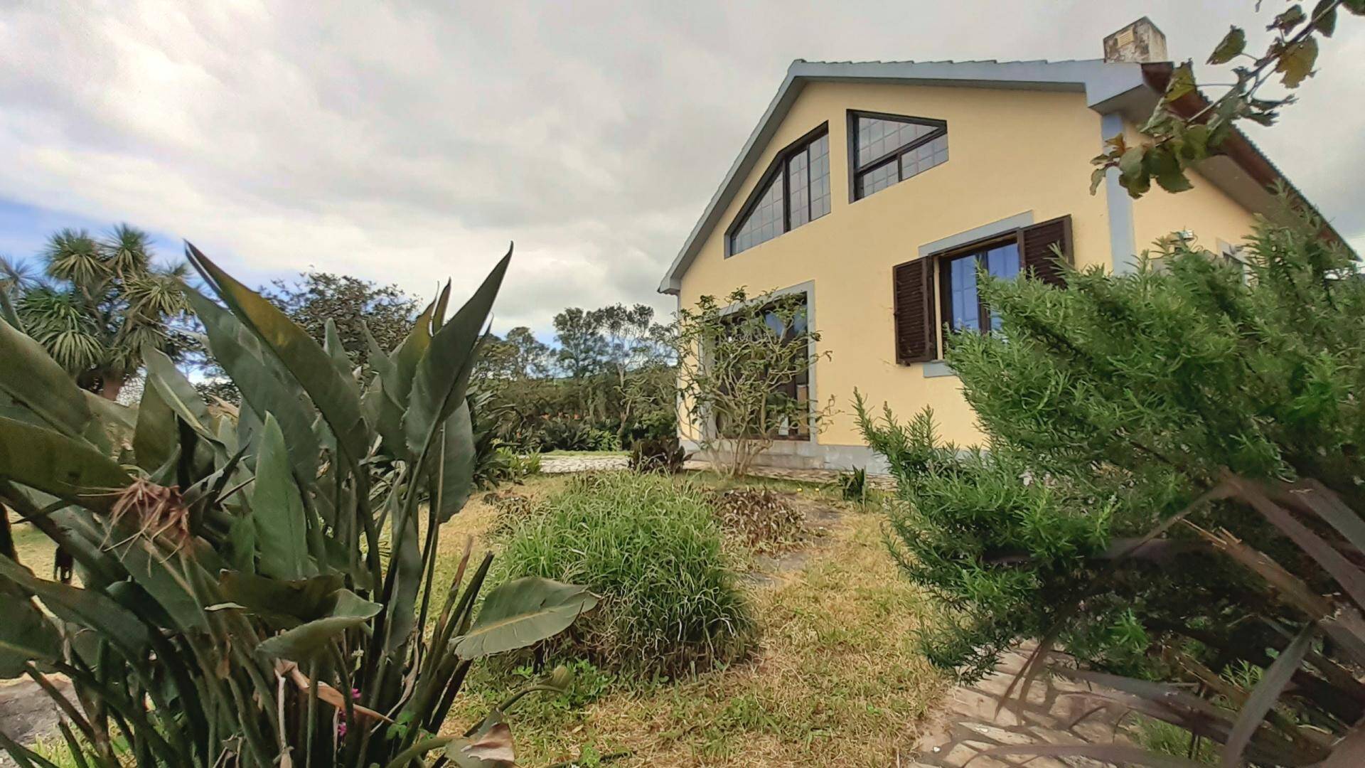 house tropical garden views