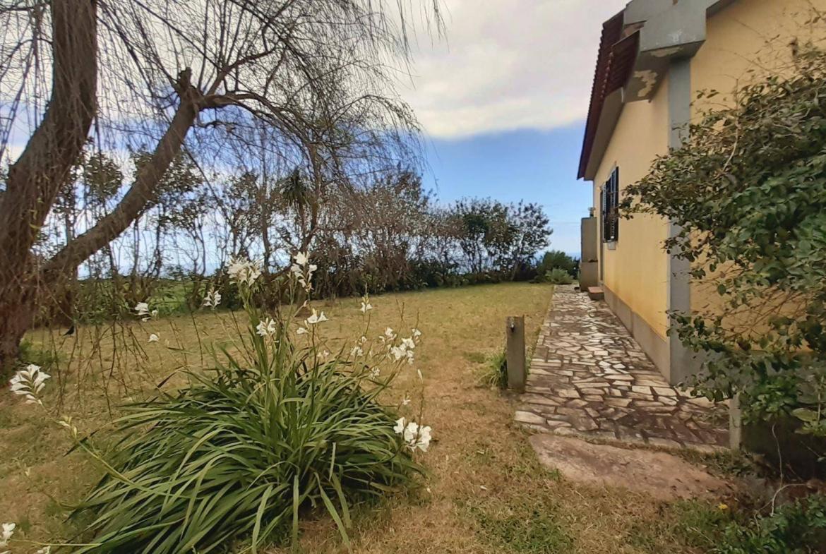 house tropical garden views