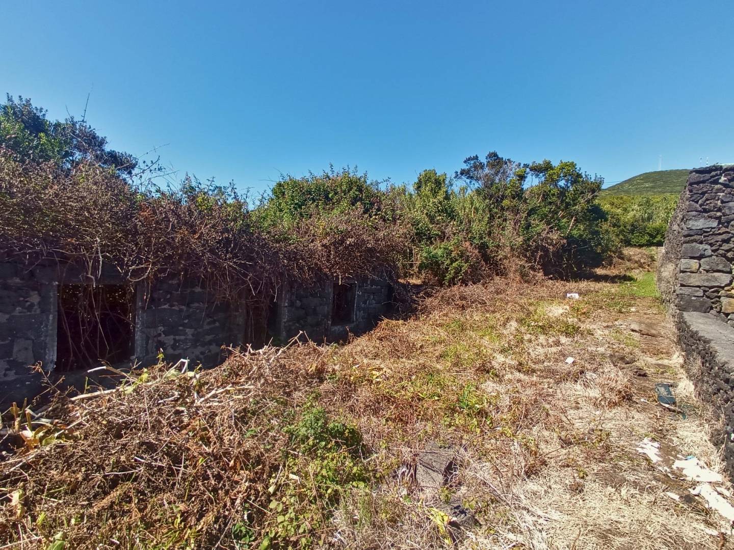 land ruin peaceful faial