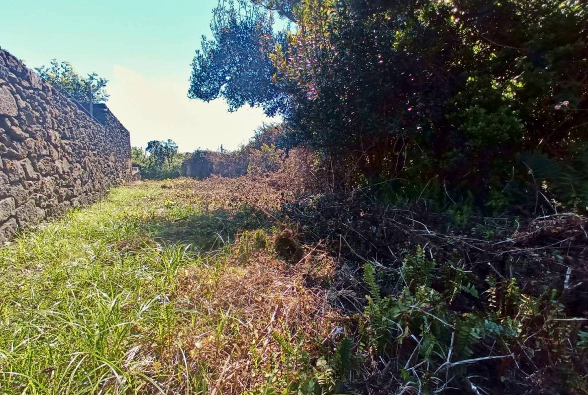 land ruin peaceful faial