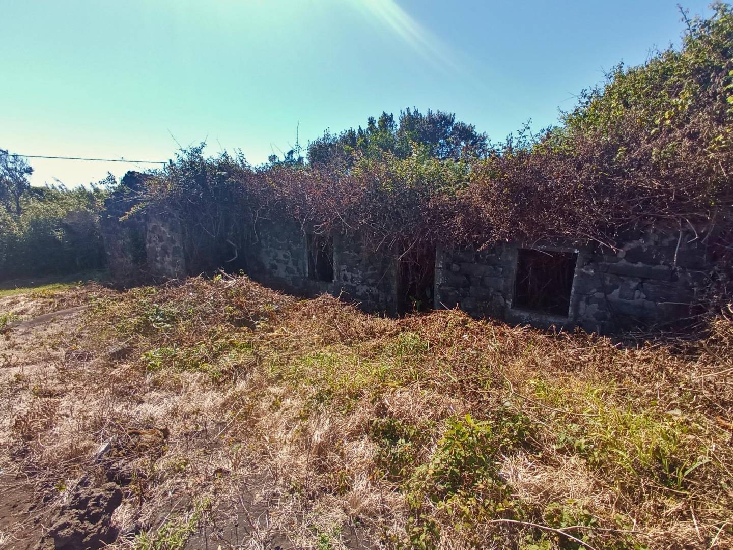 land ruin peaceful faial