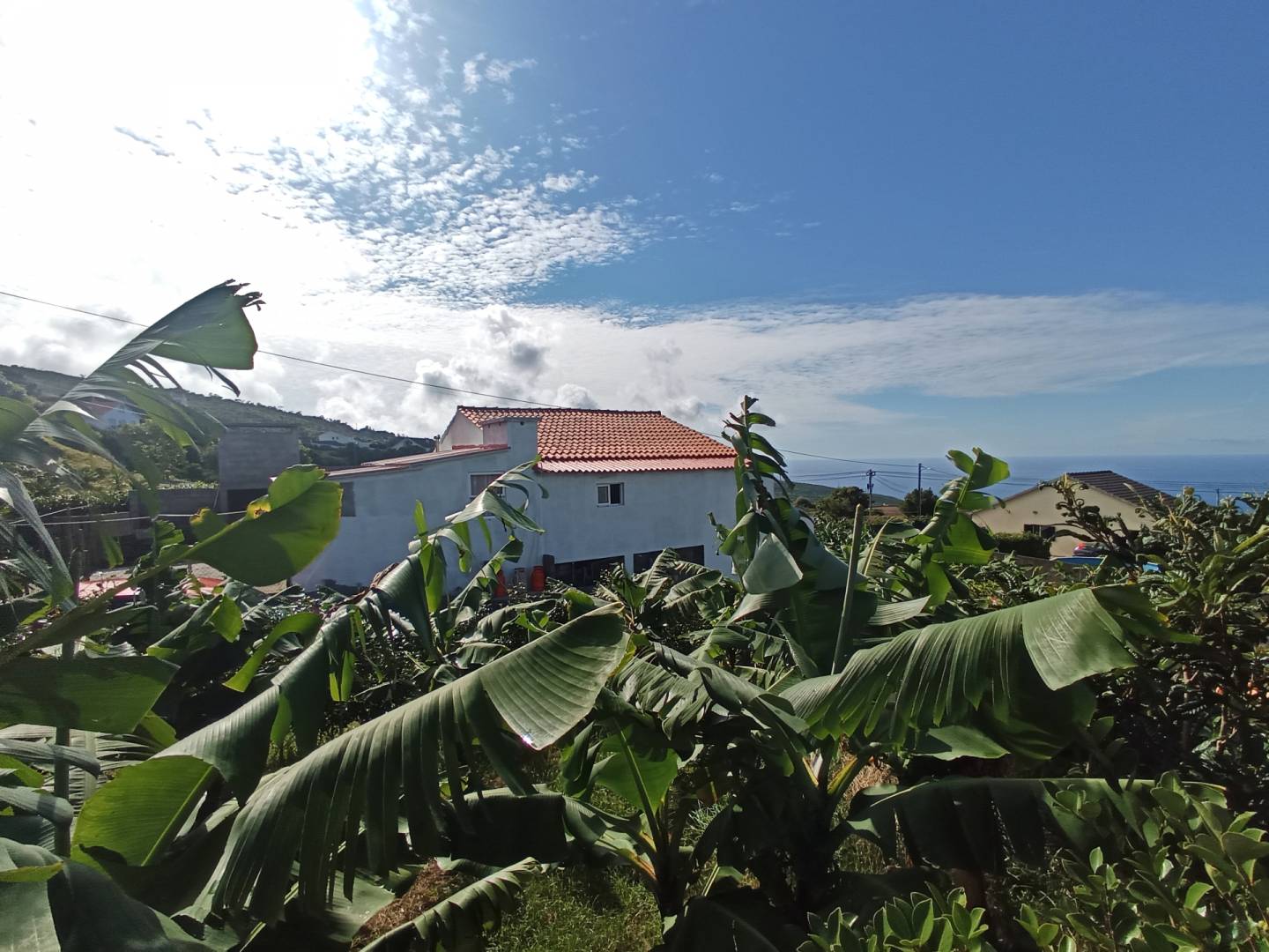 bedroom house garden Faial