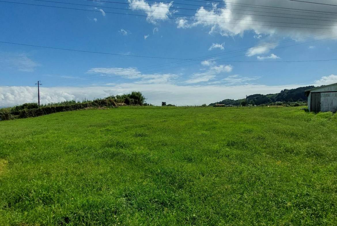 buildable plot house views