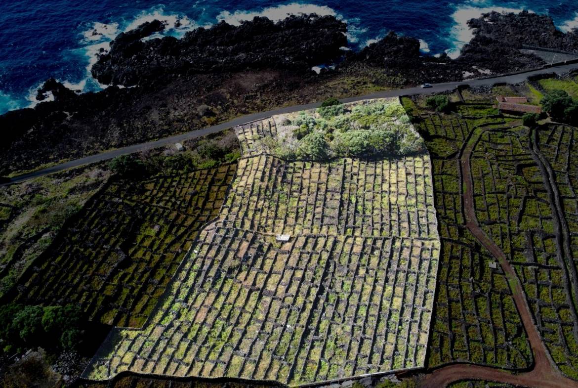 buildable vineyard views island