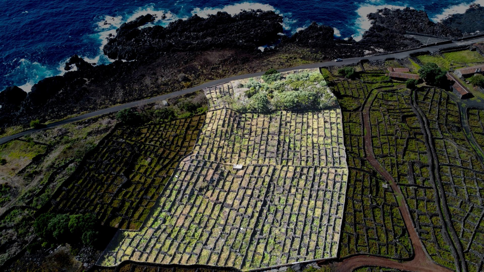 buildable vineyard views island