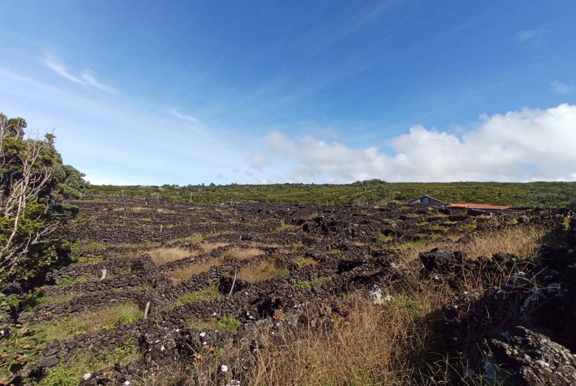 buildable vineyard views island