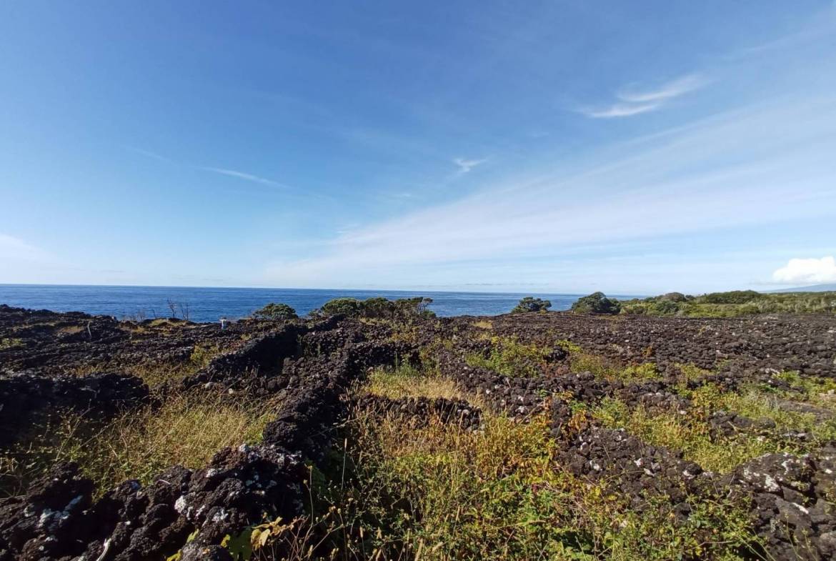 buildable vineyard views island