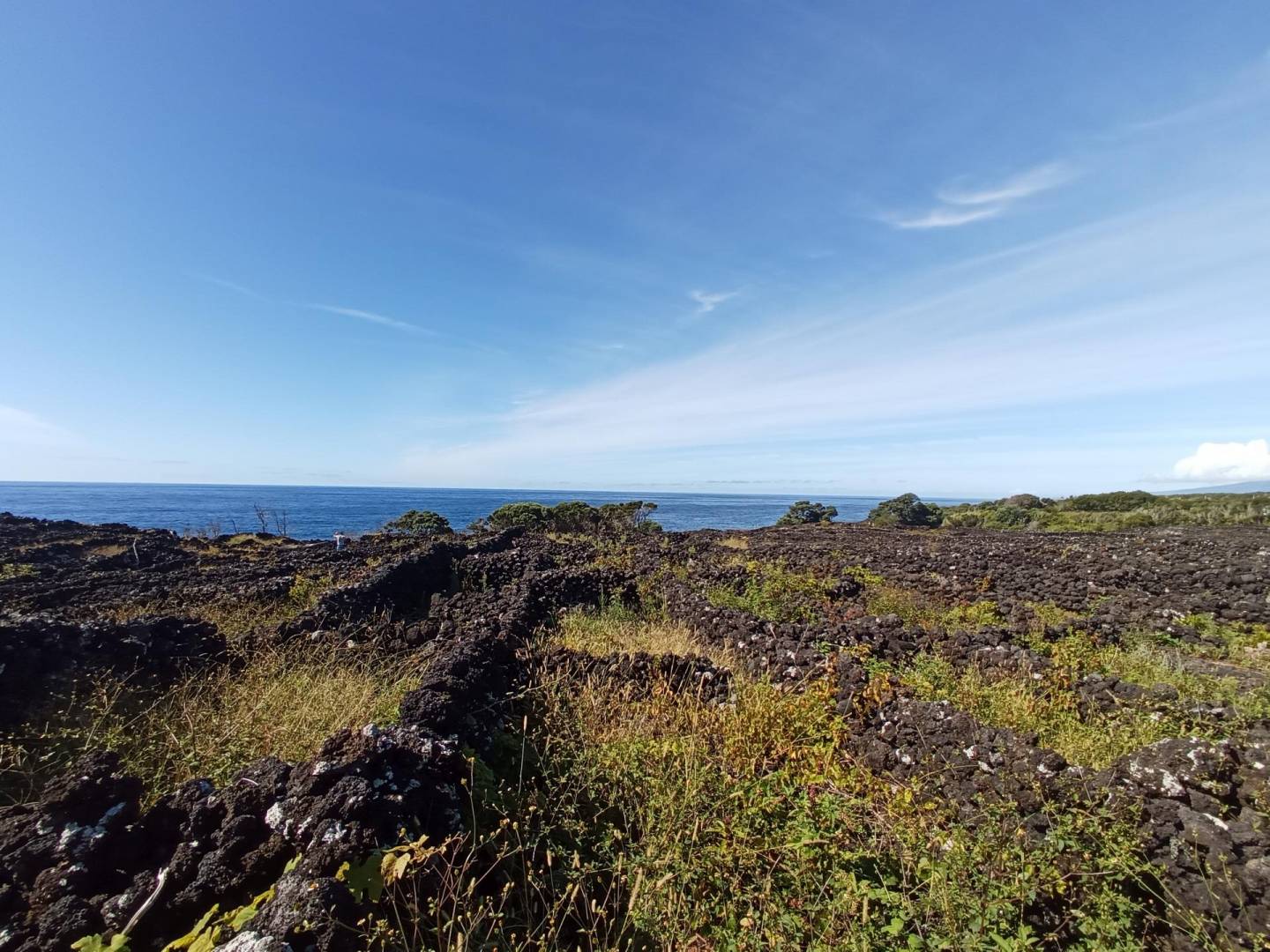 buildable vineyard views island
