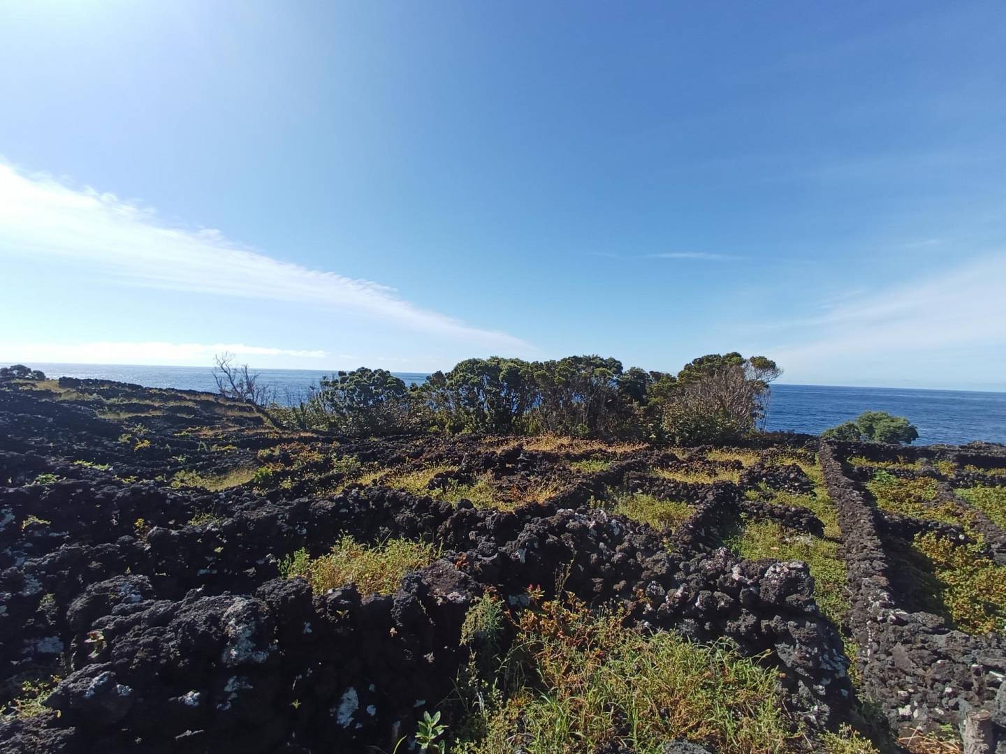 buildable vineyard views island