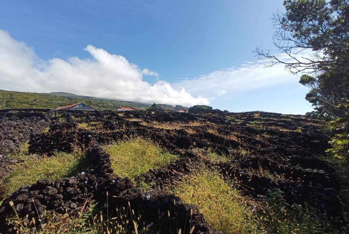 buildable vineyard views island