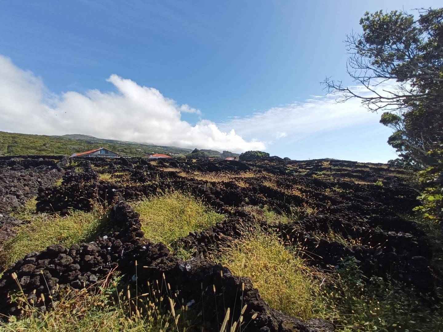 buildable vineyard views island