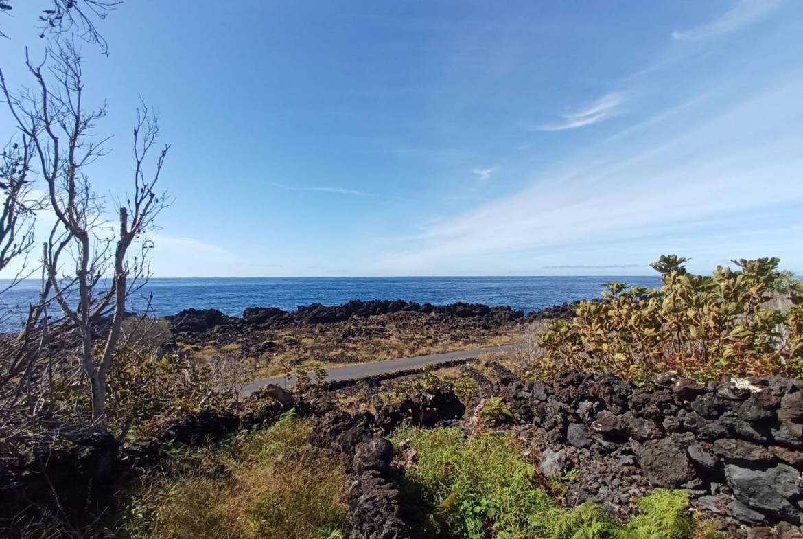 buildable vineyard views island