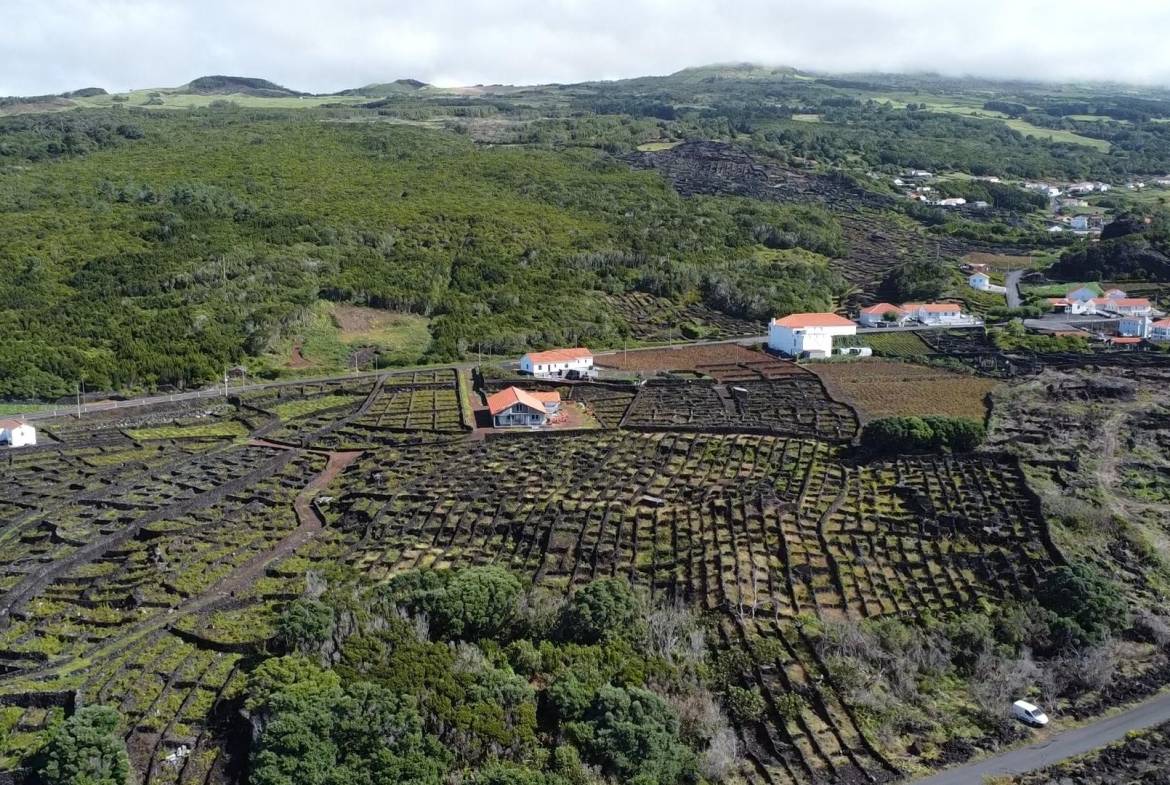 buildable vineyard views island