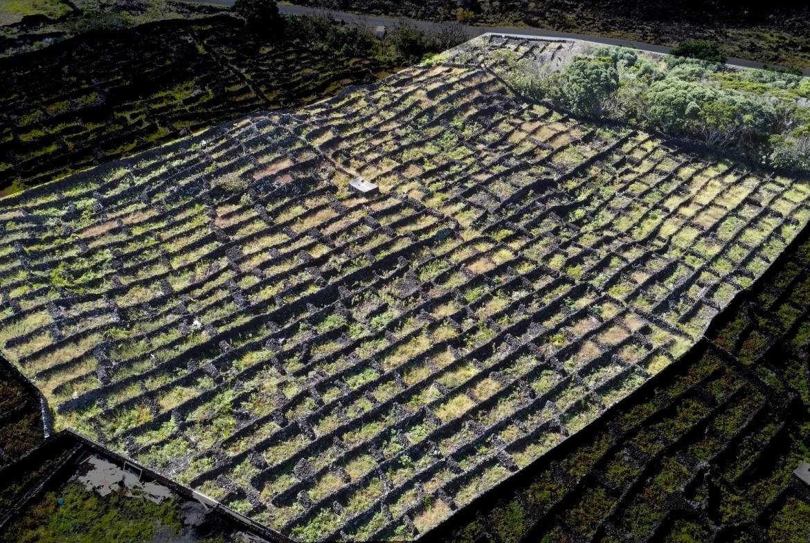 buildable vineyard views island