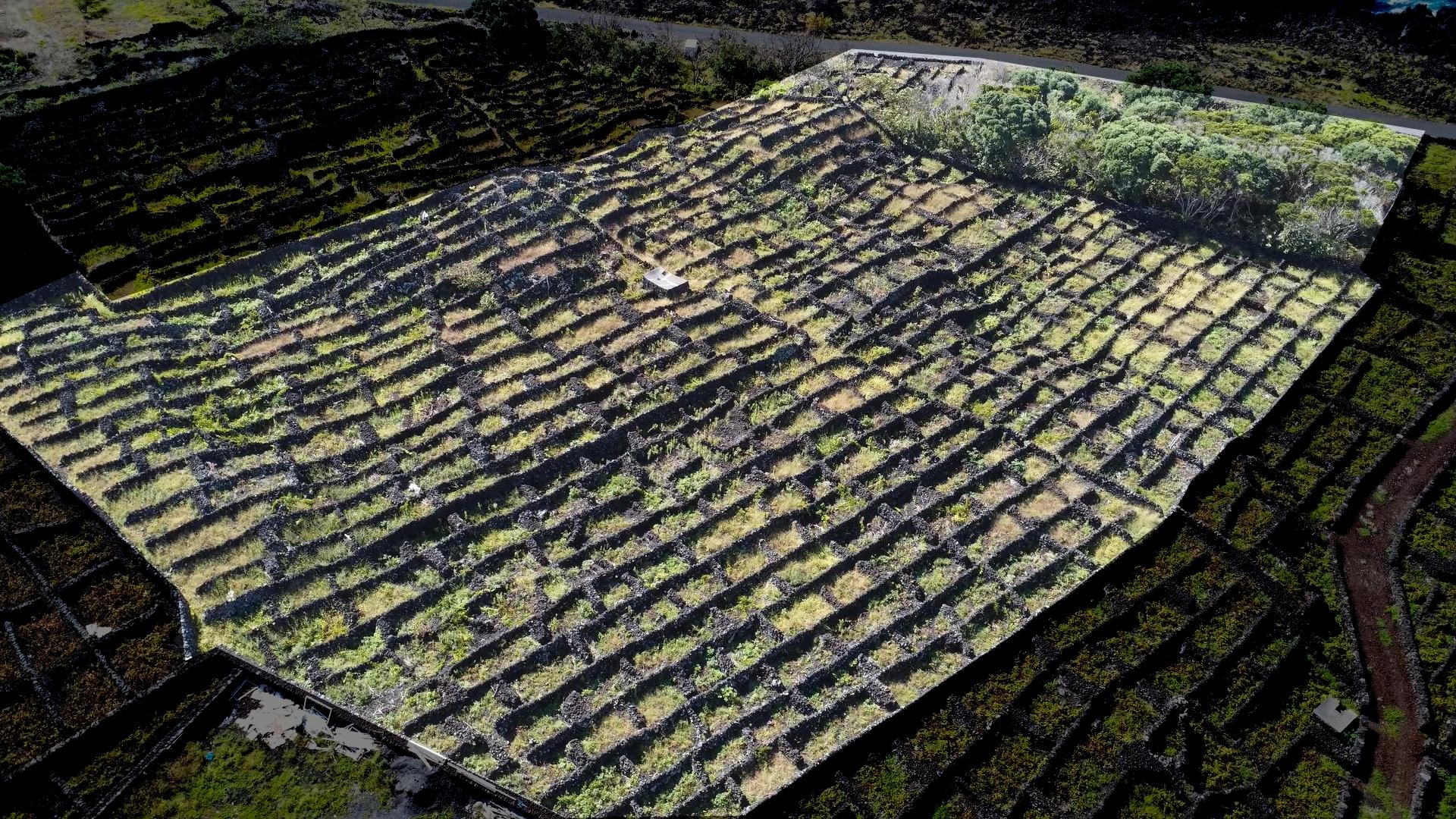 buildable vineyard views island