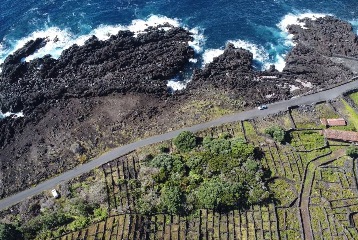 buildable vineyard views island