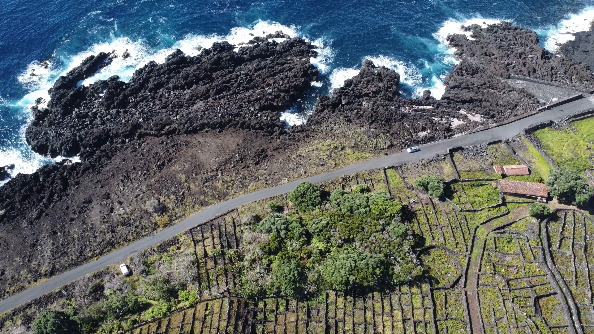 buildable vineyard views island