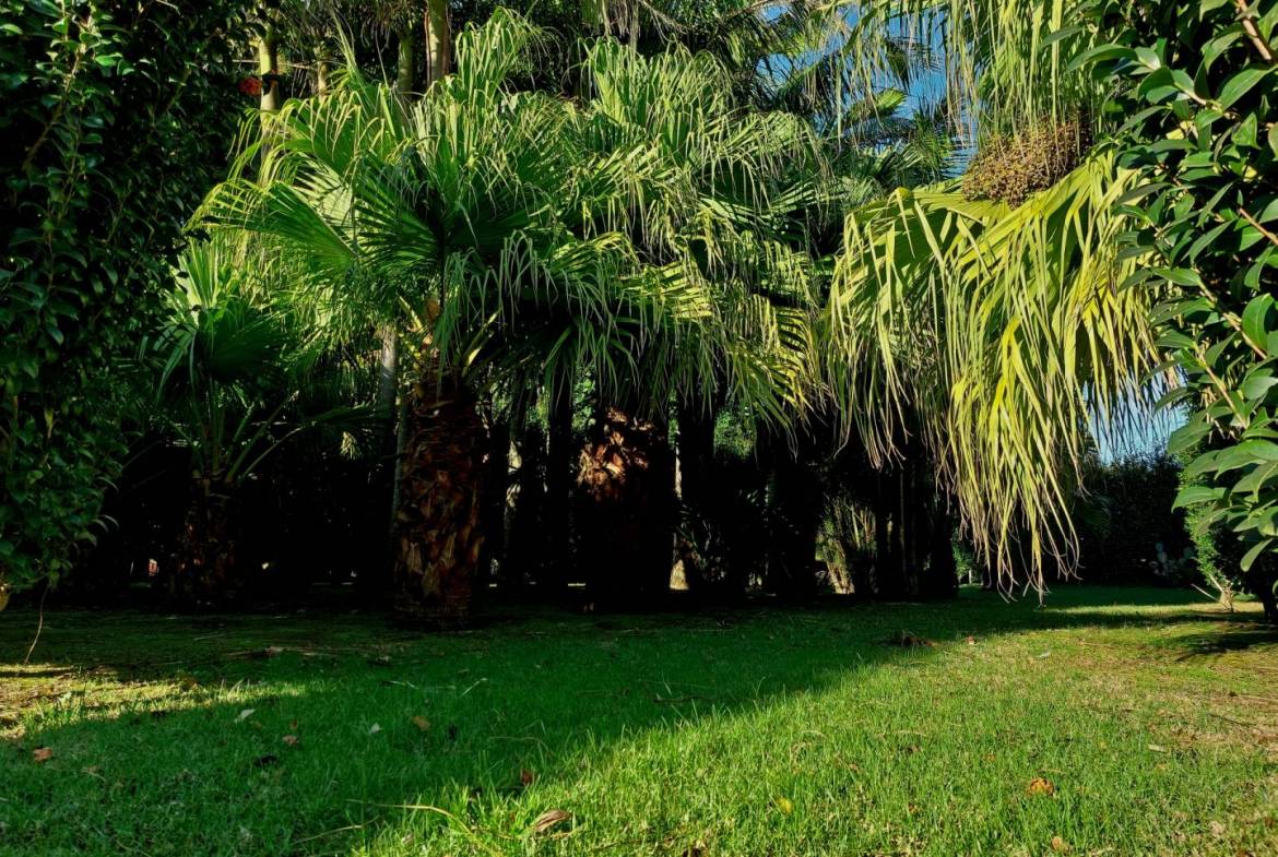house garden privacy faial