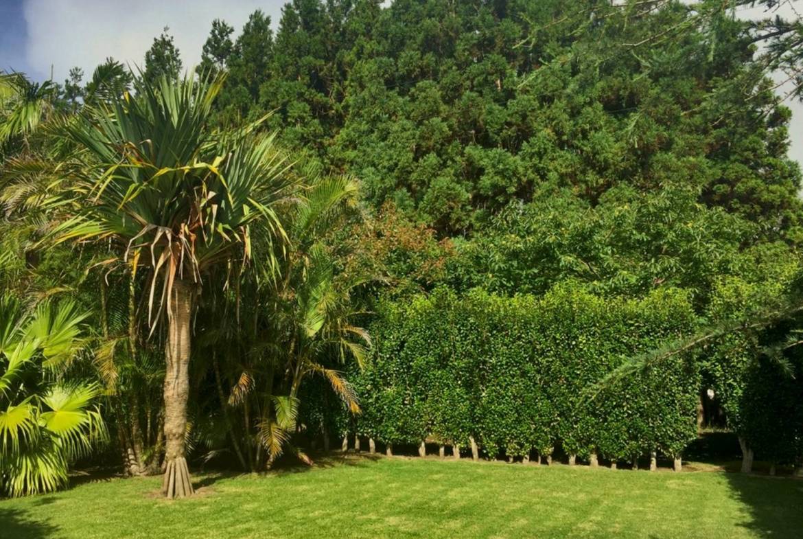 house garden privacy faial