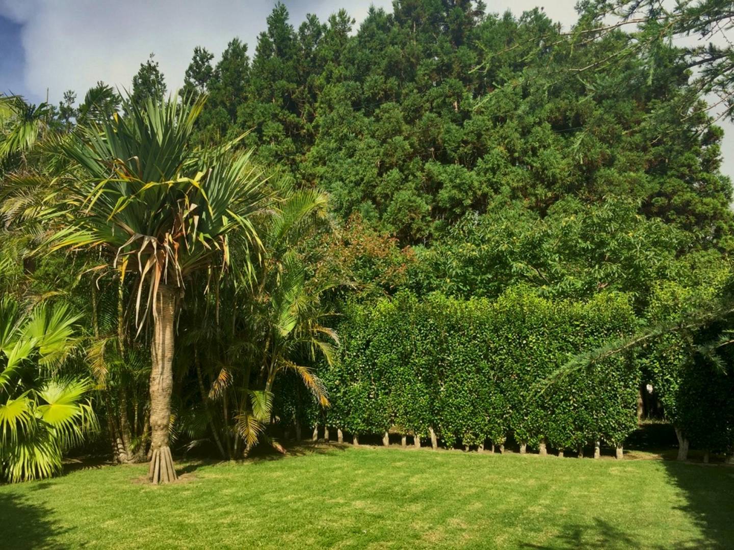 house garden privacy faial