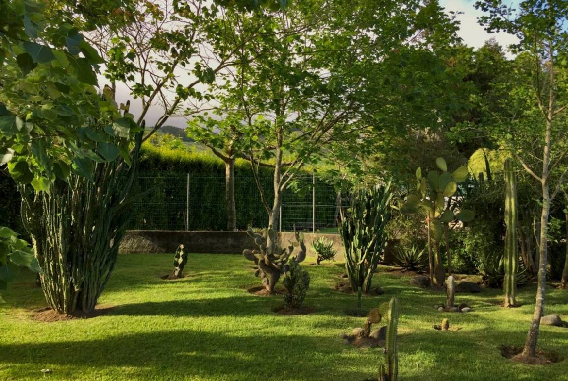 house garden privacy faial