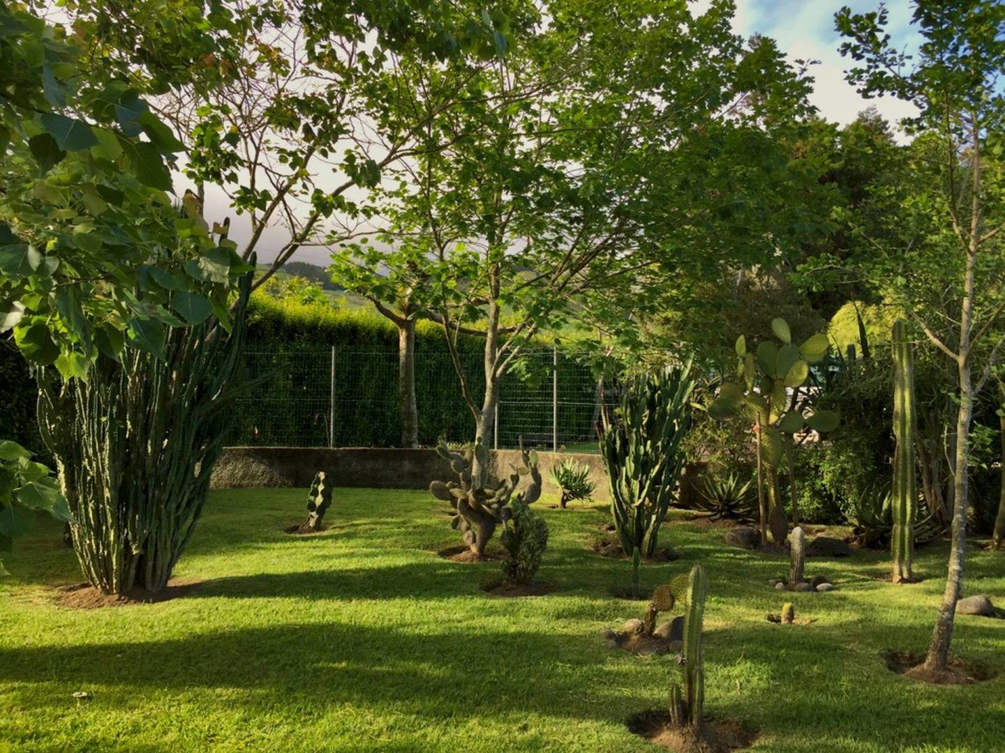 house garden privacy faial