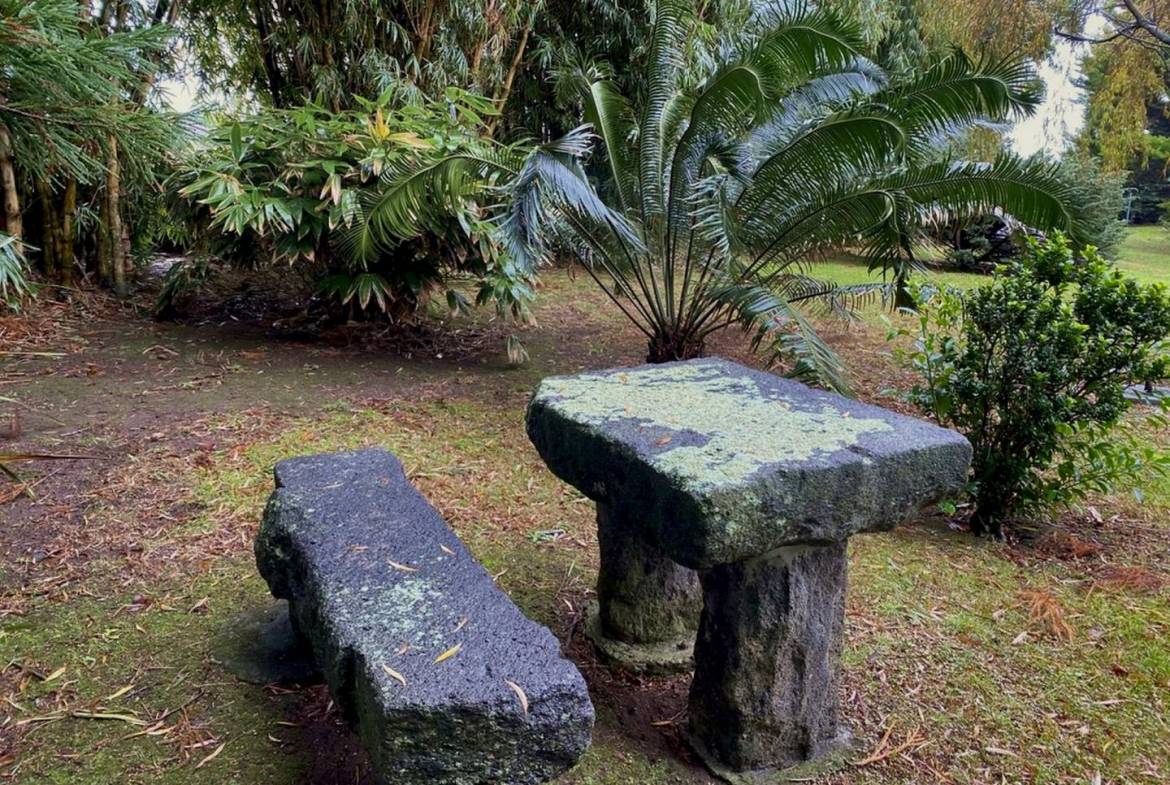 house garden privacy faial