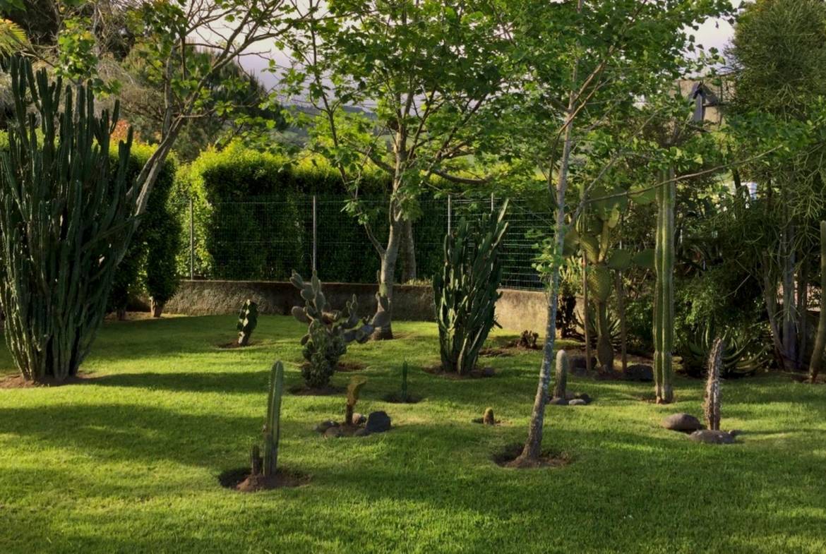 house garden privacy faial