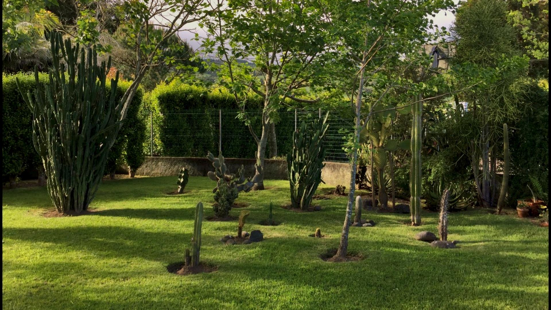 house garden privacy faial