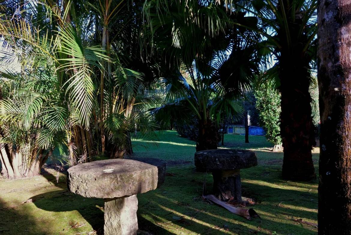 house garden privacy faial