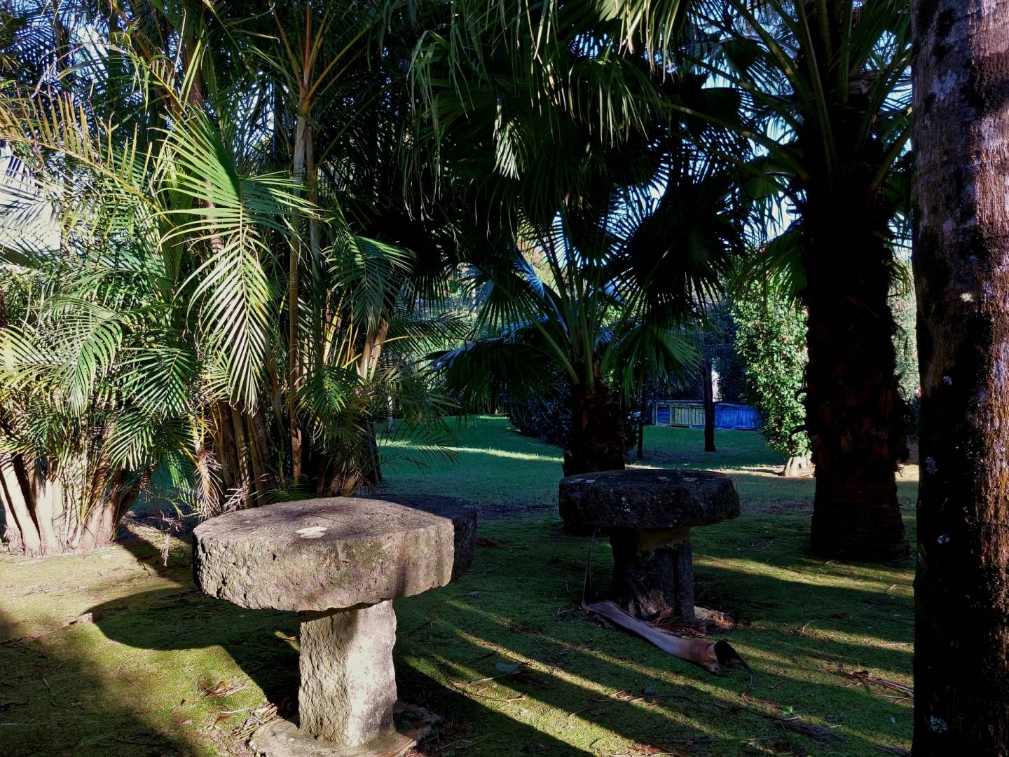 house garden privacy faial
