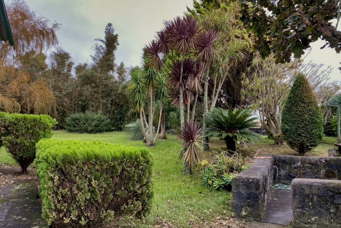 house garden privacy faial