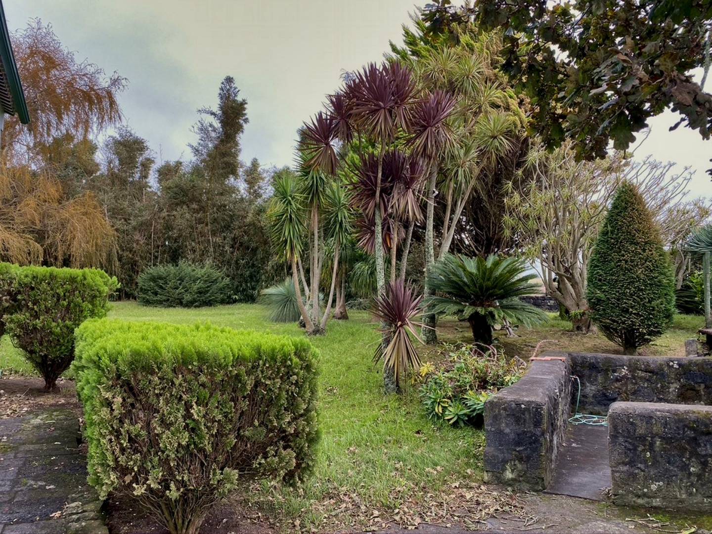 house garden privacy faial