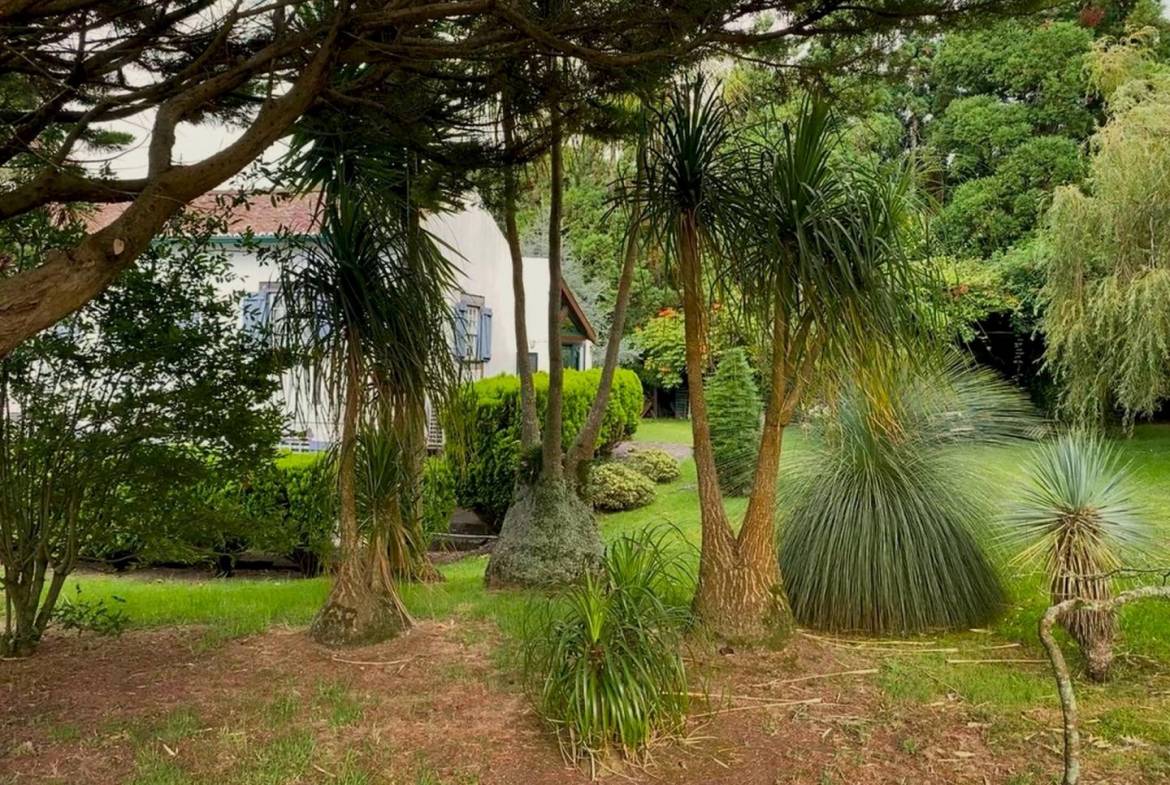 house garden privacy faial