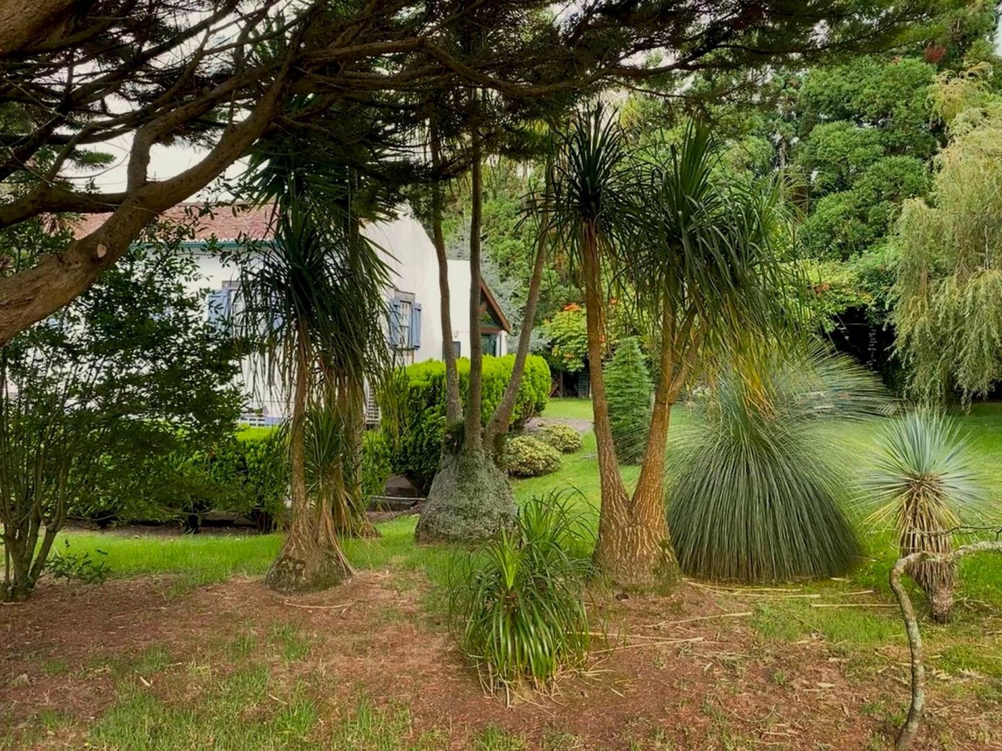 house garden privacy faial