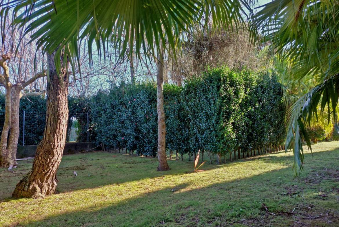 house garden privacy faial