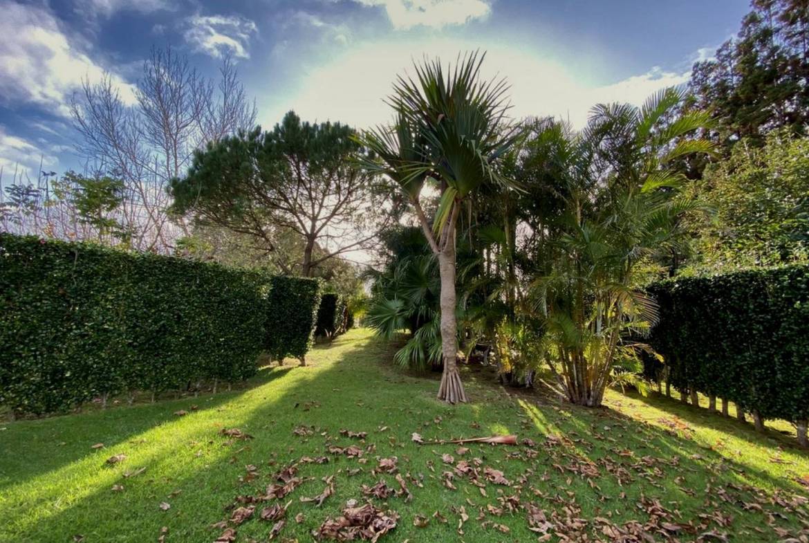 house garden privacy faial