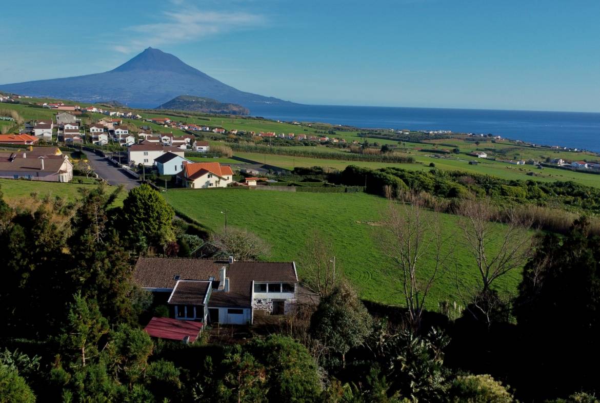 house garden privacy faial