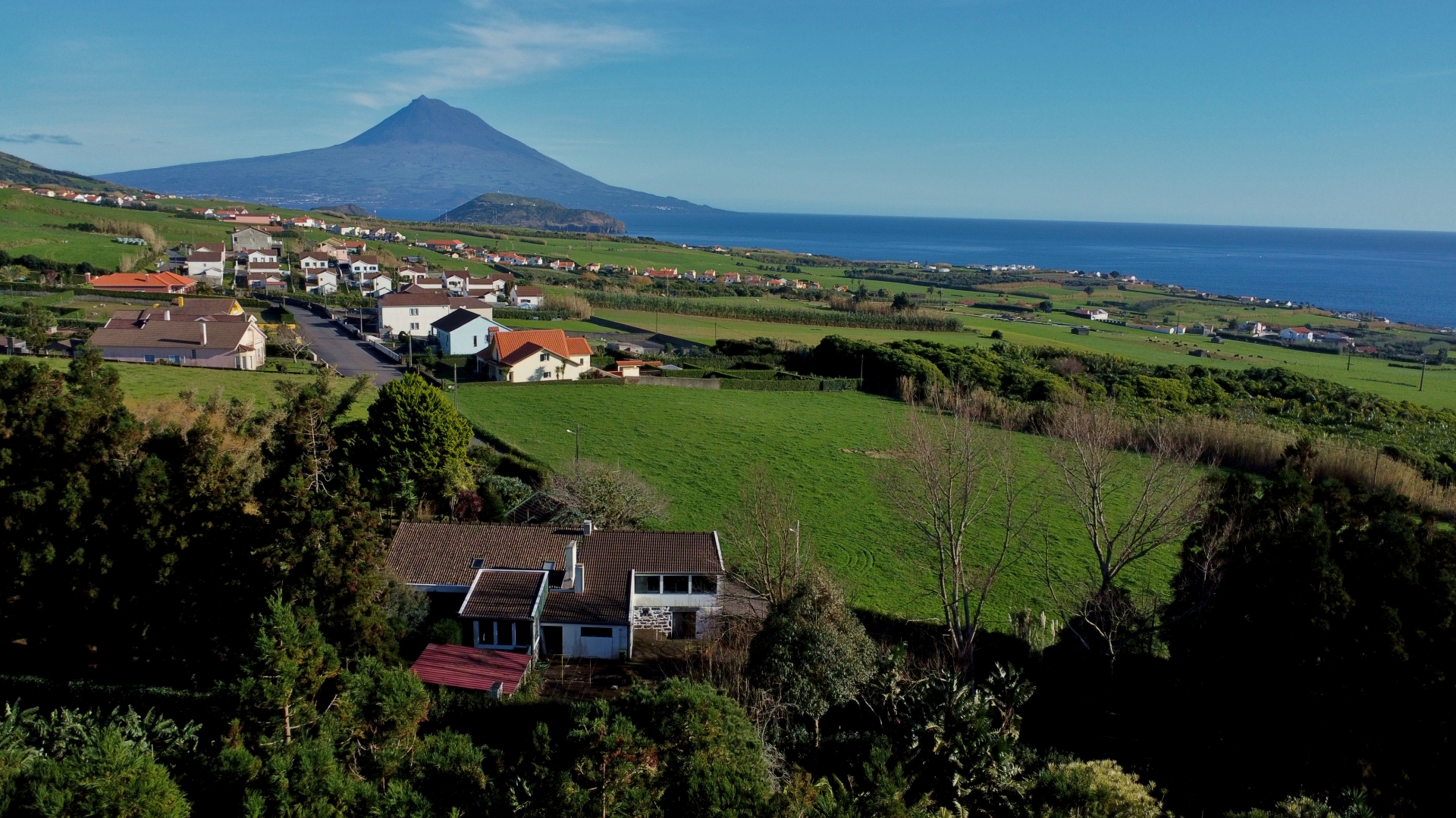 house garden privacy faial