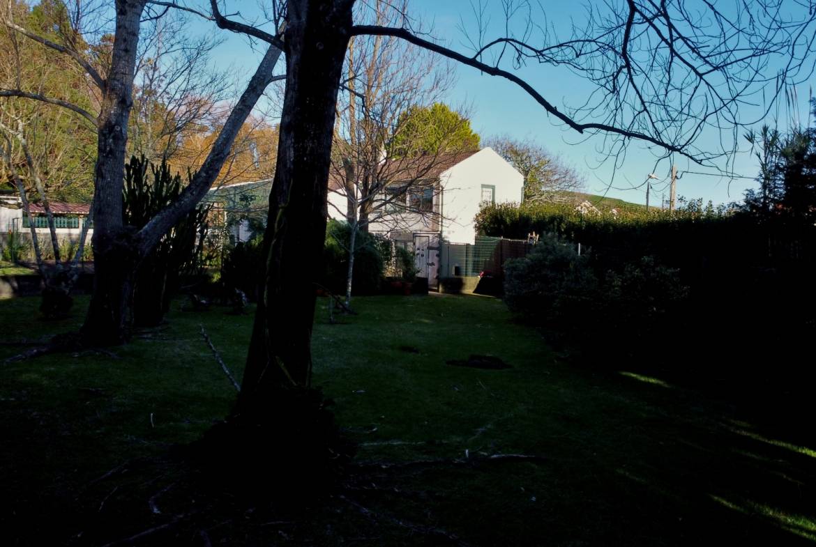 house garden privacy faial