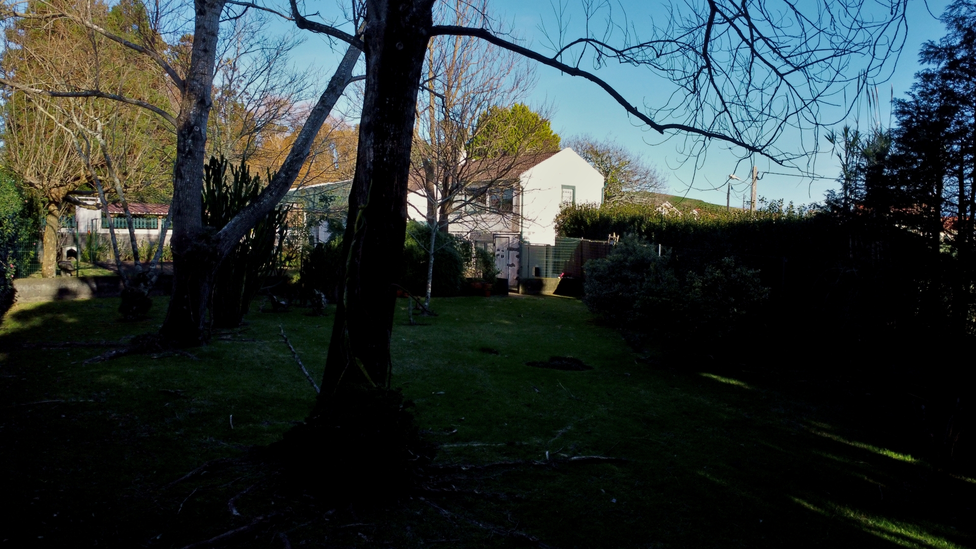 house garden privacy faial