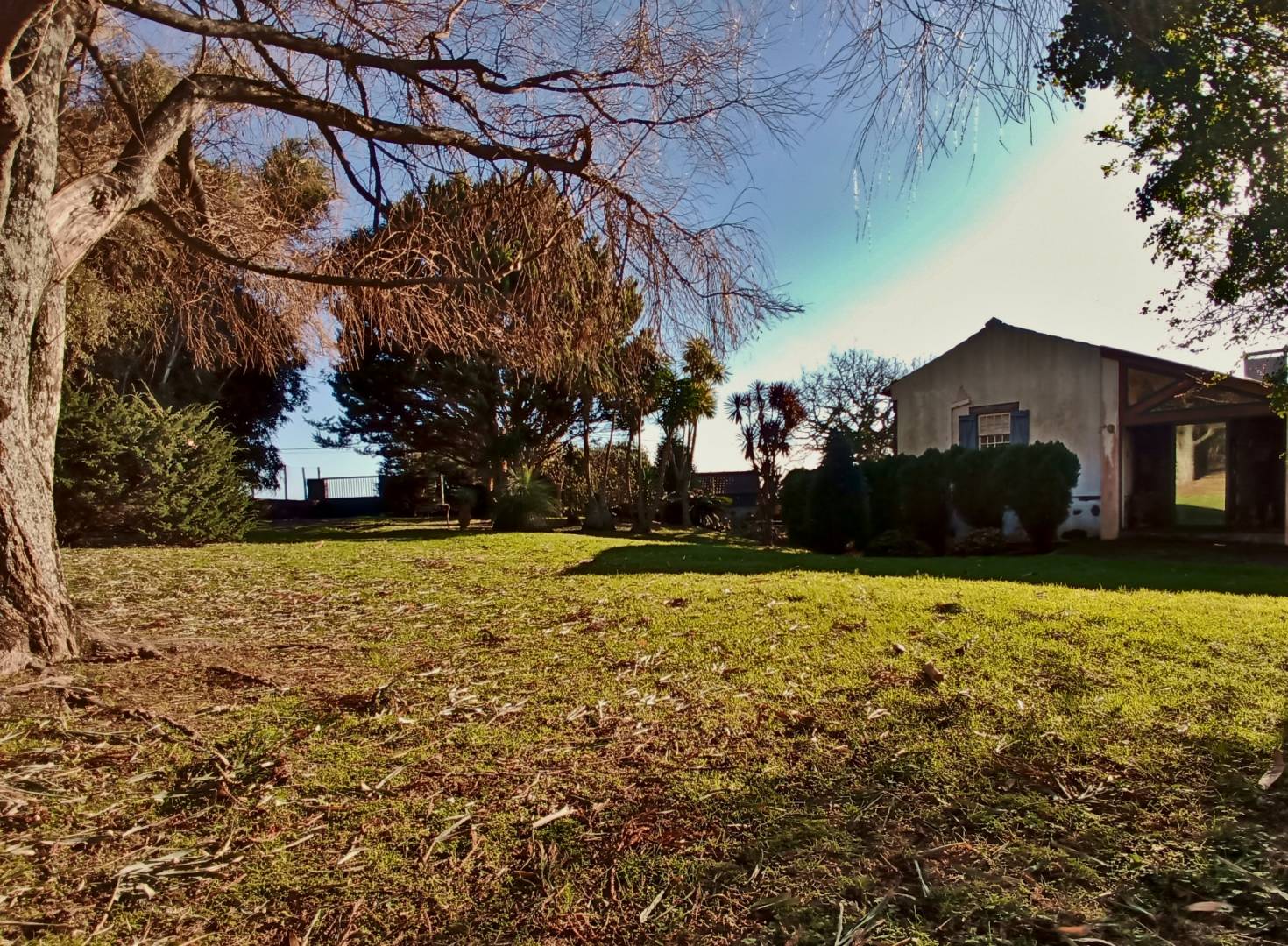 house garden privacy faial