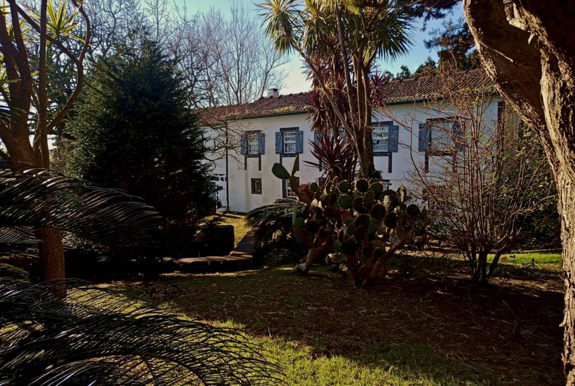 house garden privacy faial